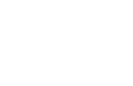 BY PLANE